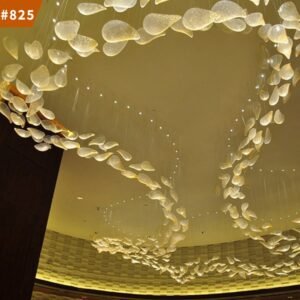 AMJ-PLR-0169