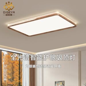 Modern Luxury Artistic Ceiling Light for Living Room & Dining Room & Bedroom