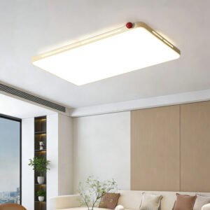 French Ceiling Light for Living Room & Bedroom
